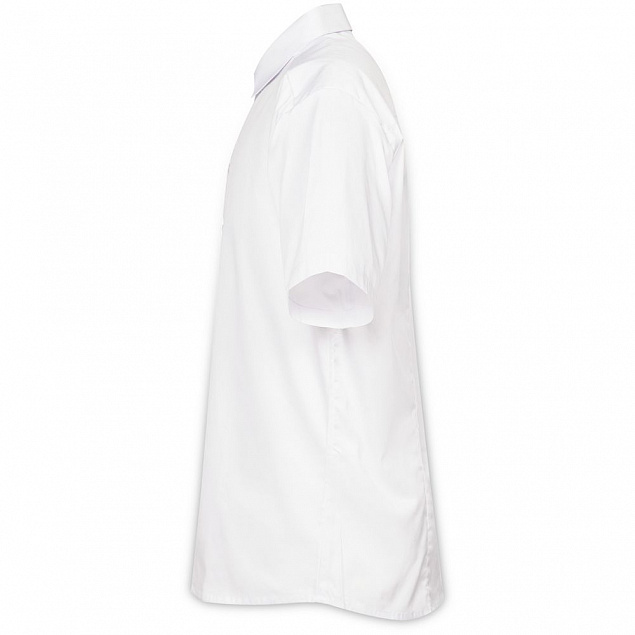 Рубашка мужская с коротким рукавом Collar, белая с логотипом в Санкт-Петербурге заказать по выгодной цене в кибермаркете AvroraStore
