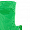 Ветровка мужская FASTPLANT зеленое яблоко с логотипом в Санкт-Петербурге заказать по выгодной цене в кибермаркете AvroraStore