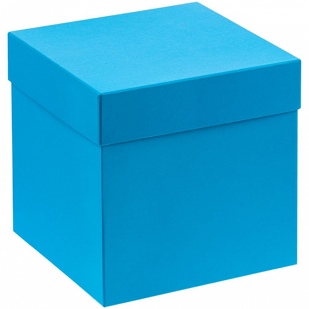 Коробка Cube S, голубая с логотипом в Санкт-Петербурге заказать по выгодной цене в кибермаркете AvroraStore