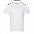 Рубашка поло Рубашка мужская 104 Синий с логотипом в Санкт-Петербурге заказать по выгодной цене в кибермаркете AvroraStore