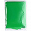 Дождевик-плащ BrightWay, зеленый с логотипом в Санкт-Петербурге заказать по выгодной цене в кибермаркете AvroraStore