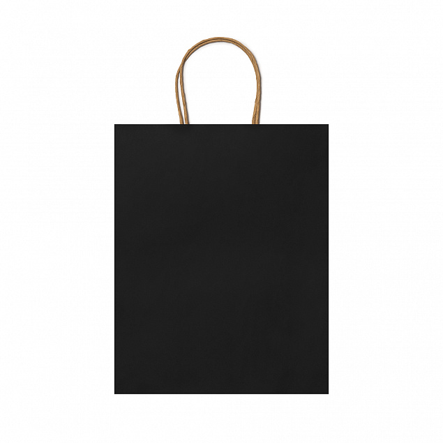 Пакет бумажный ARCE, Черный с логотипом в Санкт-Петербурге заказать по выгодной цене в кибермаркете AvroraStore