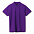 Рубашка поло мужская SPRING 210, темно-фиолетовая с логотипом в Санкт-Петербурге заказать по выгодной цене в кибермаркете AvroraStore