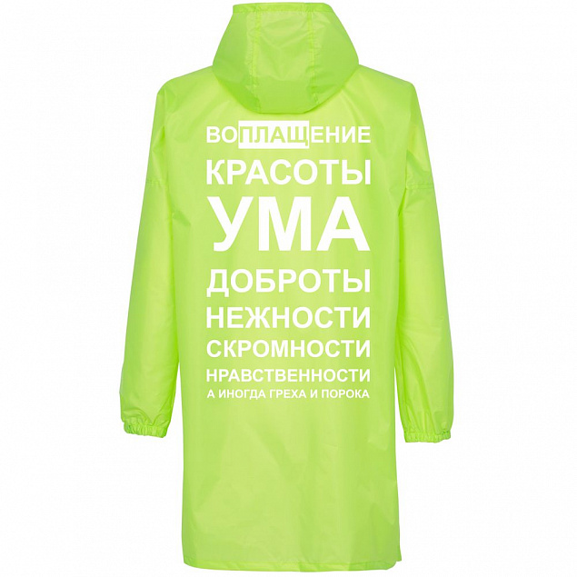 Дождевик «Воплащение всего», неоново-желтый с логотипом в Санкт-Петербурге заказать по выгодной цене в кибермаркете AvroraStore