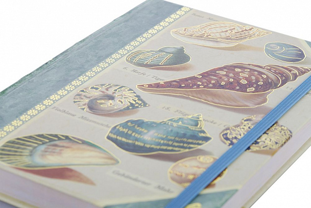 Книга для записей Shells с логотипом в Санкт-Петербурге заказать по выгодной цене в кибермаркете AvroraStore