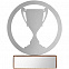 Награда Acme, кубок с логотипом в Санкт-Петербурге заказать по выгодной цене в кибермаркете AvroraStore