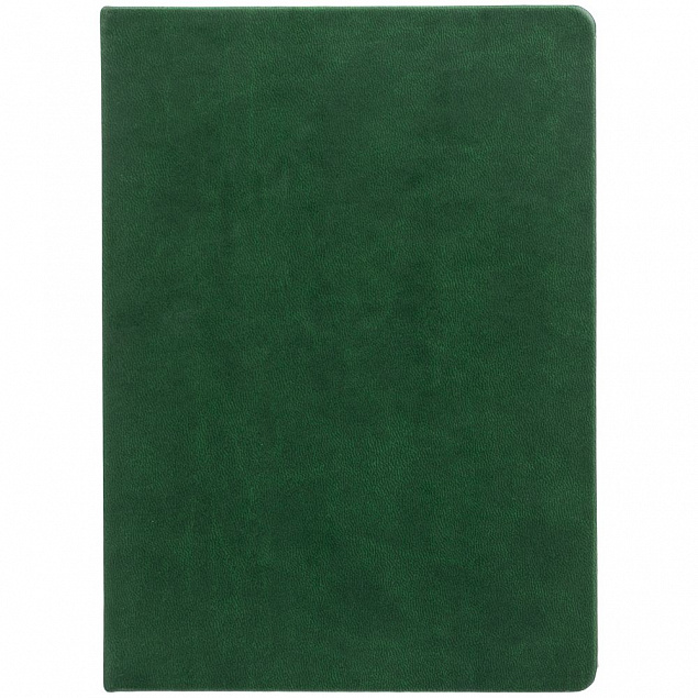 Ежедневник Cortado, недатированный, зеленый с логотипом в Санкт-Петербурге заказать по выгодной цене в кибермаркете AvroraStore