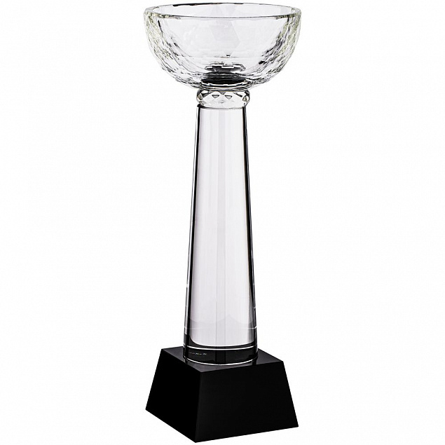 Кубок Cupture, большой с логотипом в Санкт-Петербурге заказать по выгодной цене в кибермаркете AvroraStore