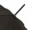 Зонт-трость Dublin, черный с логотипом в Санкт-Петербурге заказать по выгодной цене в кибермаркете AvroraStore