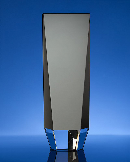 Награда Statum, малая с логотипом в Санкт-Петербурге заказать по выгодной цене в кибермаркете AvroraStore