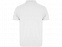 Рубашка поло Austral мужская, белый с логотипом в Санкт-Петербурге заказать по выгодной цене в кибермаркете AvroraStore