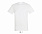 Фуфайка (футболка) REGENT мужская,Серый меланж XXS с логотипом в Санкт-Петербурге заказать по выгодной цене в кибермаркете AvroraStore