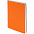 Ежедневник Flex Shall, недатированный, оранжевый с логотипом в Санкт-Петербурге заказать по выгодной цене в кибермаркете AvroraStore