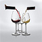 Бокал для красного вина Purismo с логотипом в Санкт-Петербурге заказать по выгодной цене в кибермаркете AvroraStore
