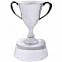 Стела  "Кубок победителя" в подарочной упаковке с логотипом в Санкт-Петербурге заказать по выгодной цене в кибермаркете AvroraStore