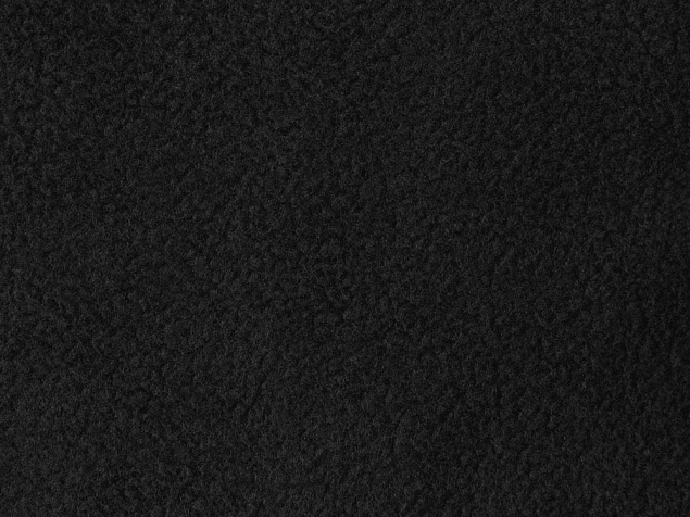 Куртка флисовая Nashville мужская, черный с логотипом в Санкт-Петербурге заказать по выгодной цене в кибермаркете AvroraStore