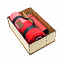 Подарочный набор Айзек, красный с логотипом в Санкт-Петербурге заказать по выгодной цене в кибермаркете AvroraStore