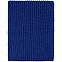 Шарф Nordkapp, ярко-синий с логотипом в Санкт-Петербурге заказать по выгодной цене в кибермаркете AvroraStore