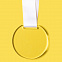 Медаль GLORY в подарочной упаковке, 70х66х5 мм, акрил с логотипом в Санкт-Петербурге заказать по выгодной цене в кибермаркете AvroraStore