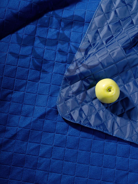 Плед для пикника Soft &amp; Dry, ярко-синий с логотипом в Санкт-Петербурге заказать по выгодной цене в кибермаркете AvroraStore