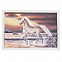 Картина «Лошадь» в серебристой раме с логотипом в Санкт-Петербурге заказать по выгодной цене в кибермаркете AvroraStore