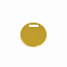 Шильд на ляссе круг D20*1 мм мет. золотое покрытие с логотипом в Санкт-Петербурге заказать по выгодной цене в кибермаркете AvroraStore