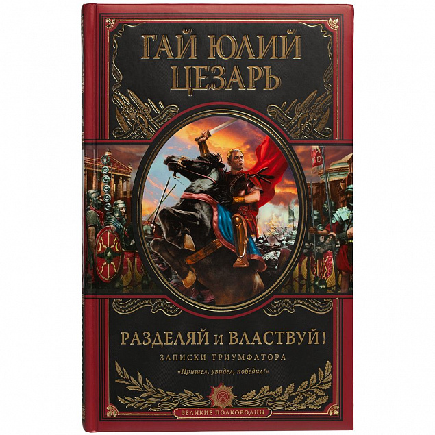 Книга «Разделяй и властвуй» с логотипом в Санкт-Петербурге заказать по выгодной цене в кибермаркете AvroraStore