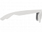 Очки солнцезащитные «Шеффилд» с логотипом в Санкт-Петербурге заказать по выгодной цене в кибермаркете AvroraStore