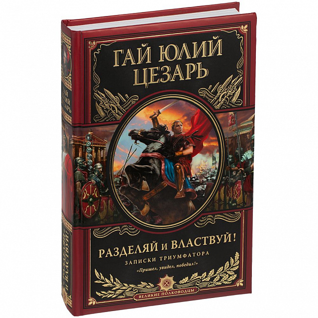 Книга «Разделяй и властвуй» с логотипом в Санкт-Петербурге заказать по выгодной цене в кибермаркете AvroraStore