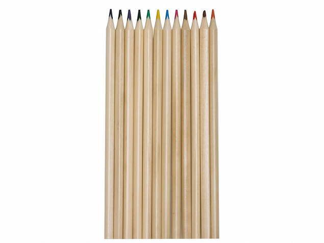 Набор из 12 трехгранных цветных карандашей «Painter» с логотипом в Санкт-Петербурге заказать по выгодной цене в кибермаркете AvroraStore