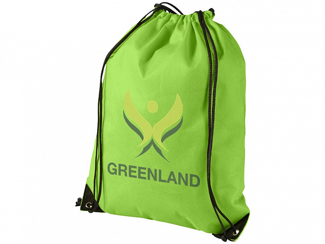 Рюкзак-мешок Evergreen, зеленое яблоко с логотипом в Санкт-Петербурге заказать по выгодной цене в кибермаркете AvroraStore