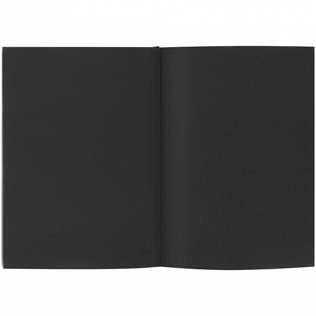 Ежедневник Flat, недатированный, черный с логотипом в Санкт-Петербурге заказать по выгодной цене в кибермаркете AvroraStore